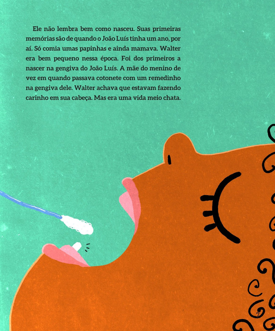 Ilustração do livro A fada dos dentes