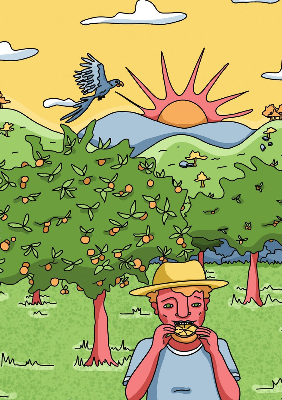 Ilustração do livro Comer direito é um direito!
