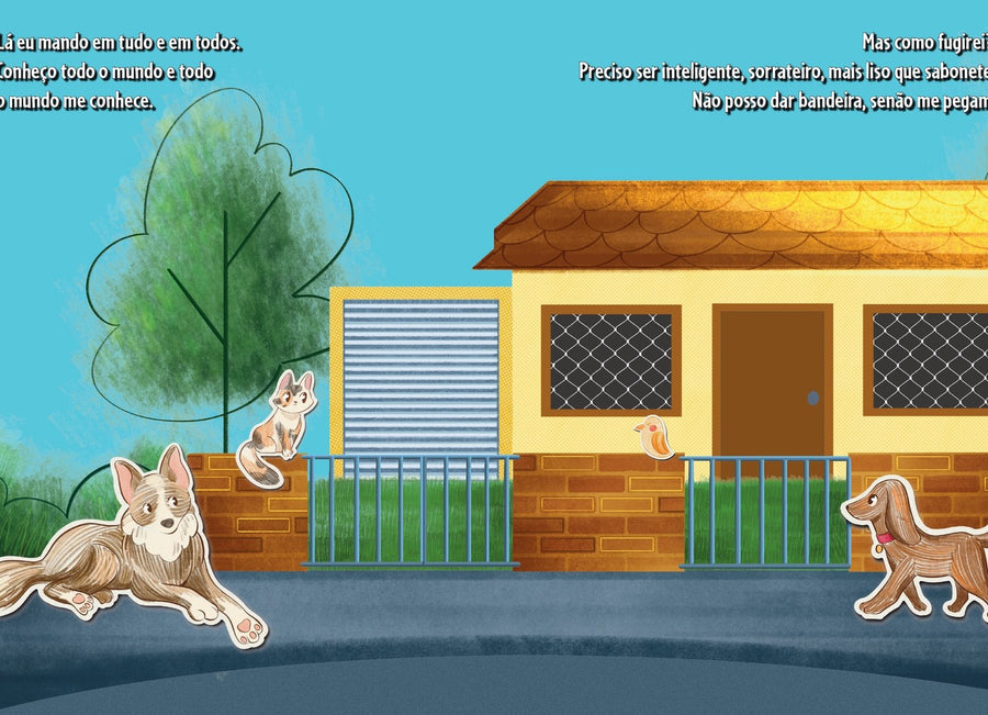 Ilustração do livro O dono da rua
