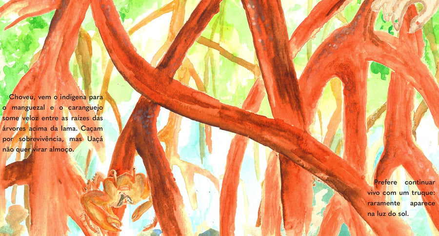 Ilustração do livro O mito de Uaçá e Uaná