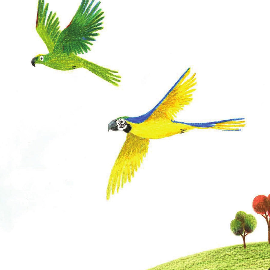 Ilustração do livro Passeio indígena por São Paulo