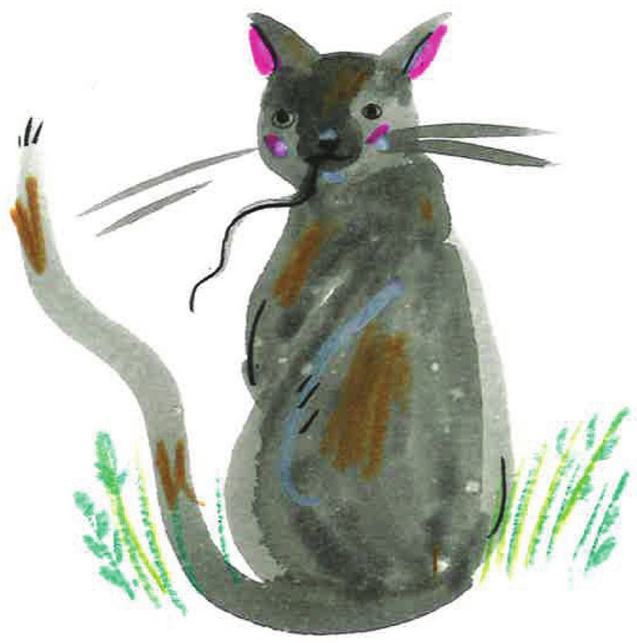 Ilustração do livro Patacoada