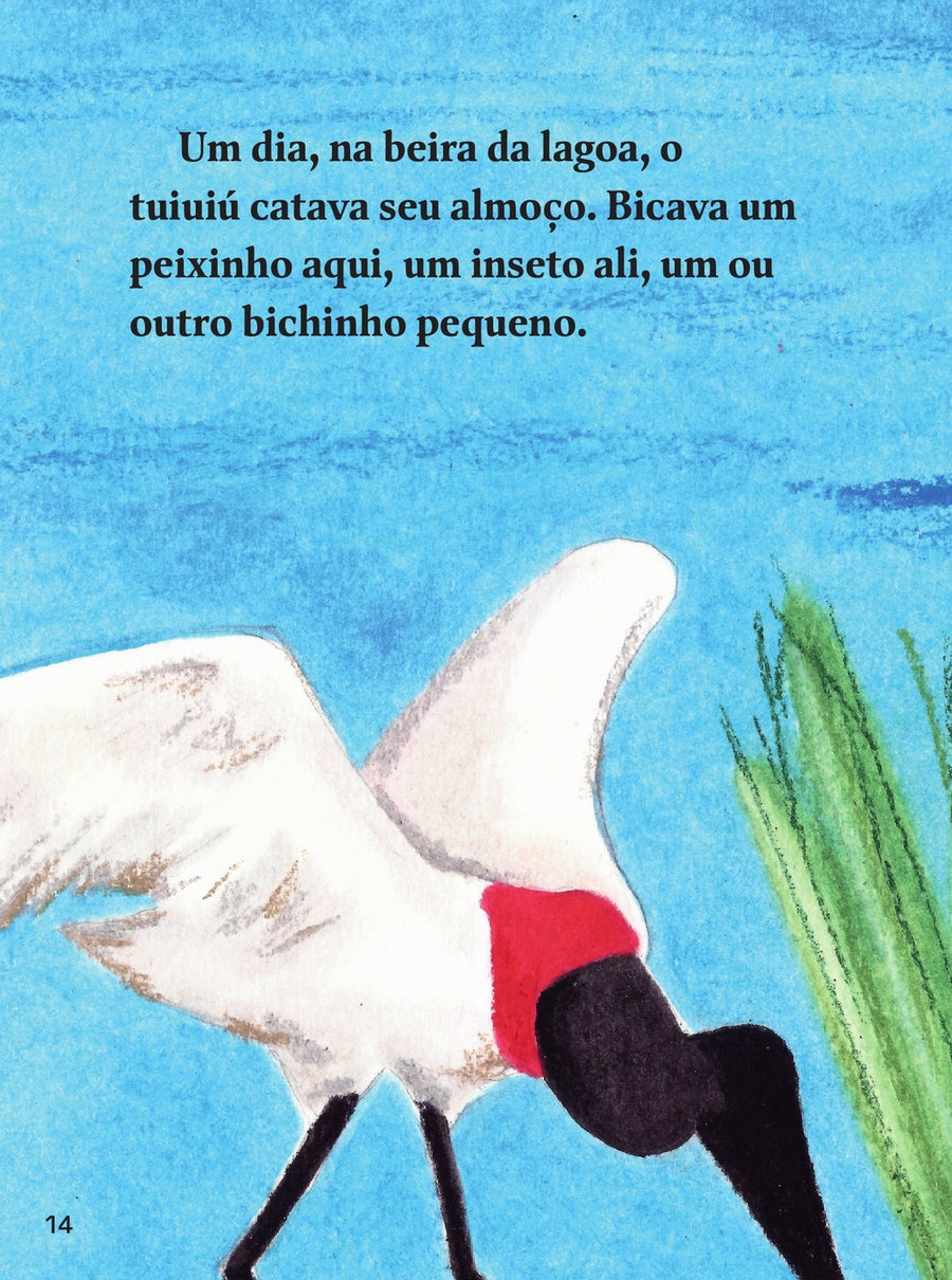 Ilustração do livro Romãozinho, tuiuiú e outros bichos
