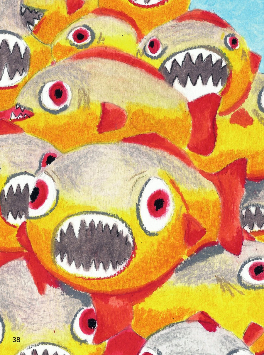 Ilustração do livro Romãozinho, tuiuiú e outros bichos