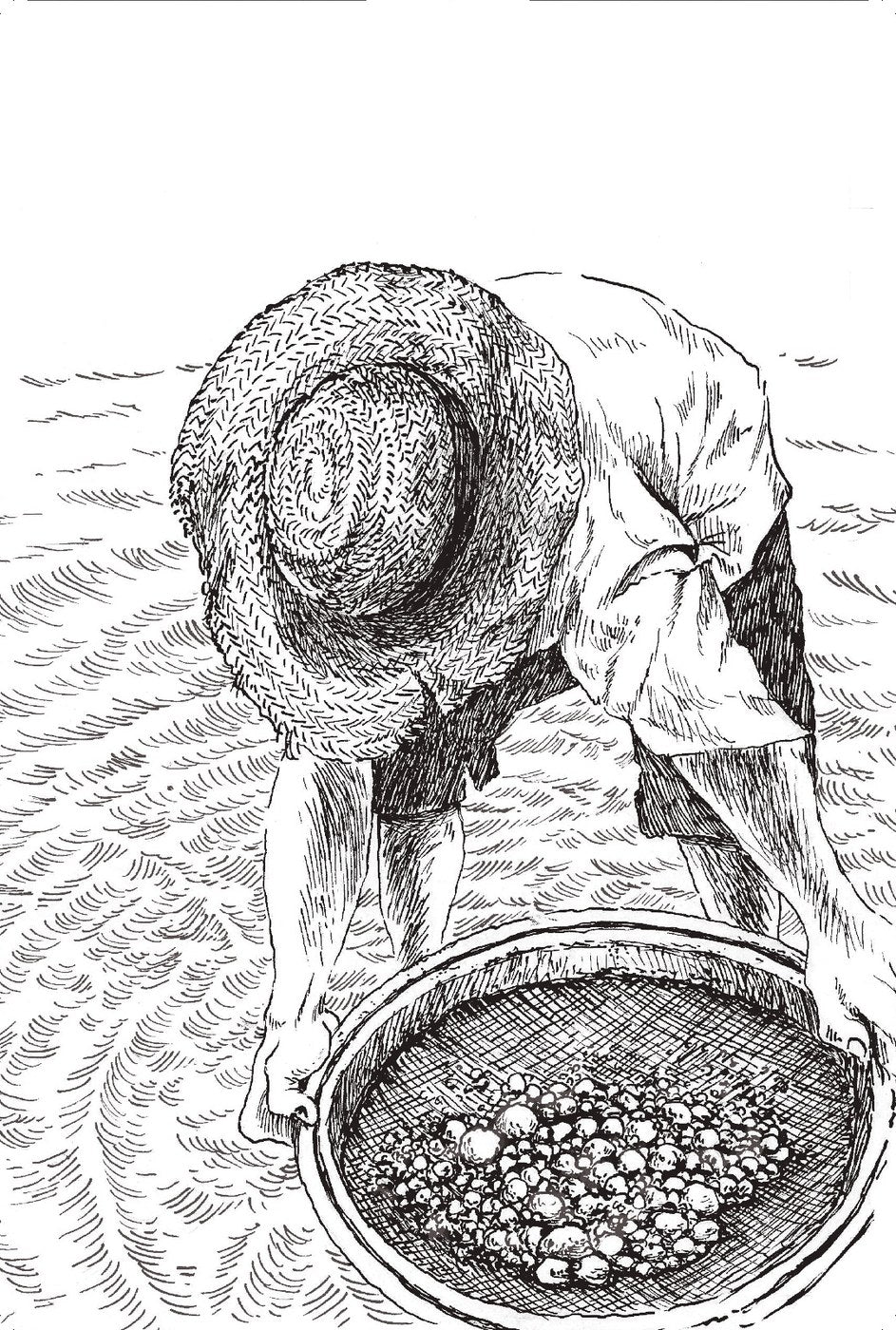 Ilustração do livro Bateia