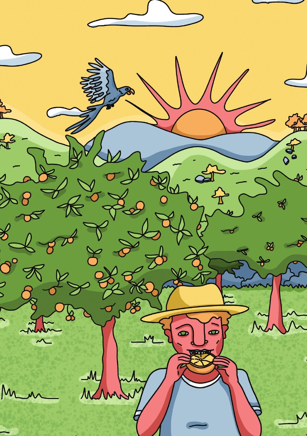 Ilustração do livro Comer direito é um direito!