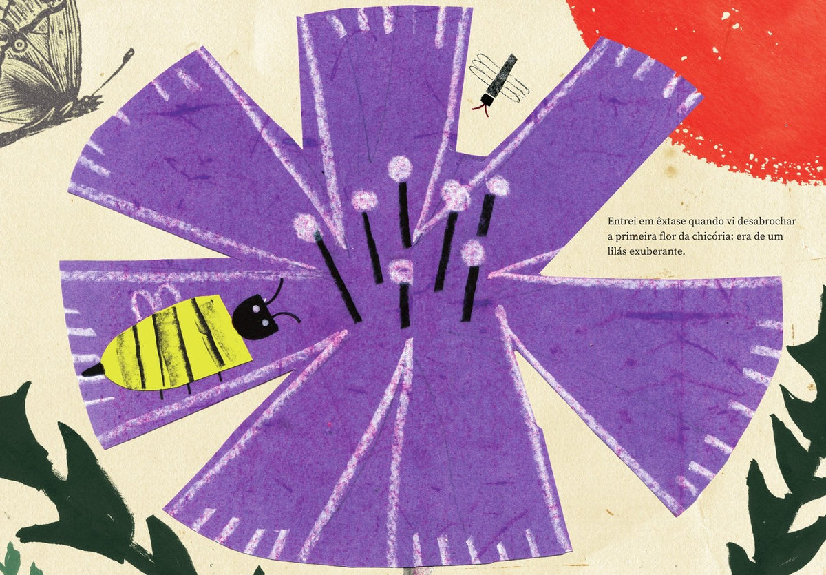 Ilustração do livro O perigo da semente