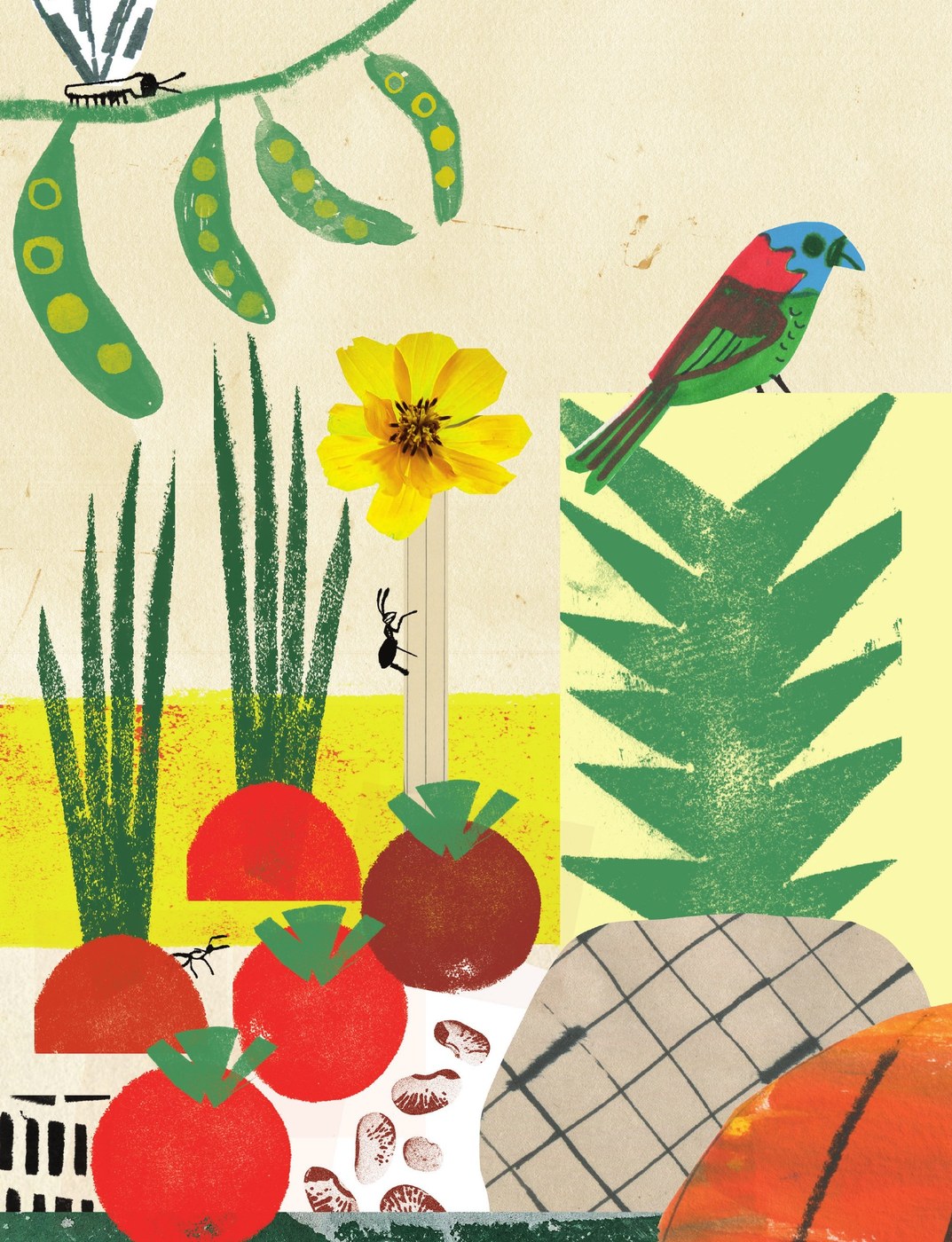 Ilustração do livro O perigo da semente