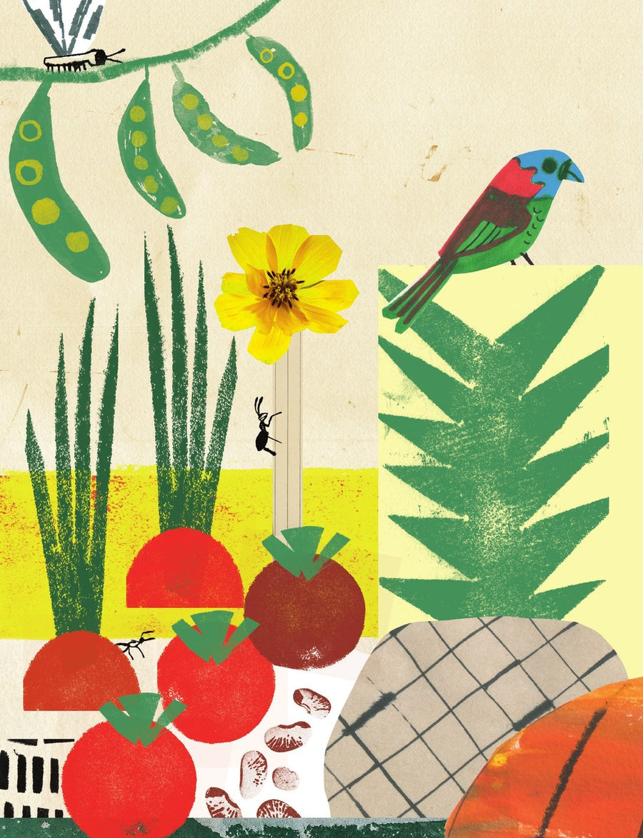 Ilustração do livro O perigo da semente