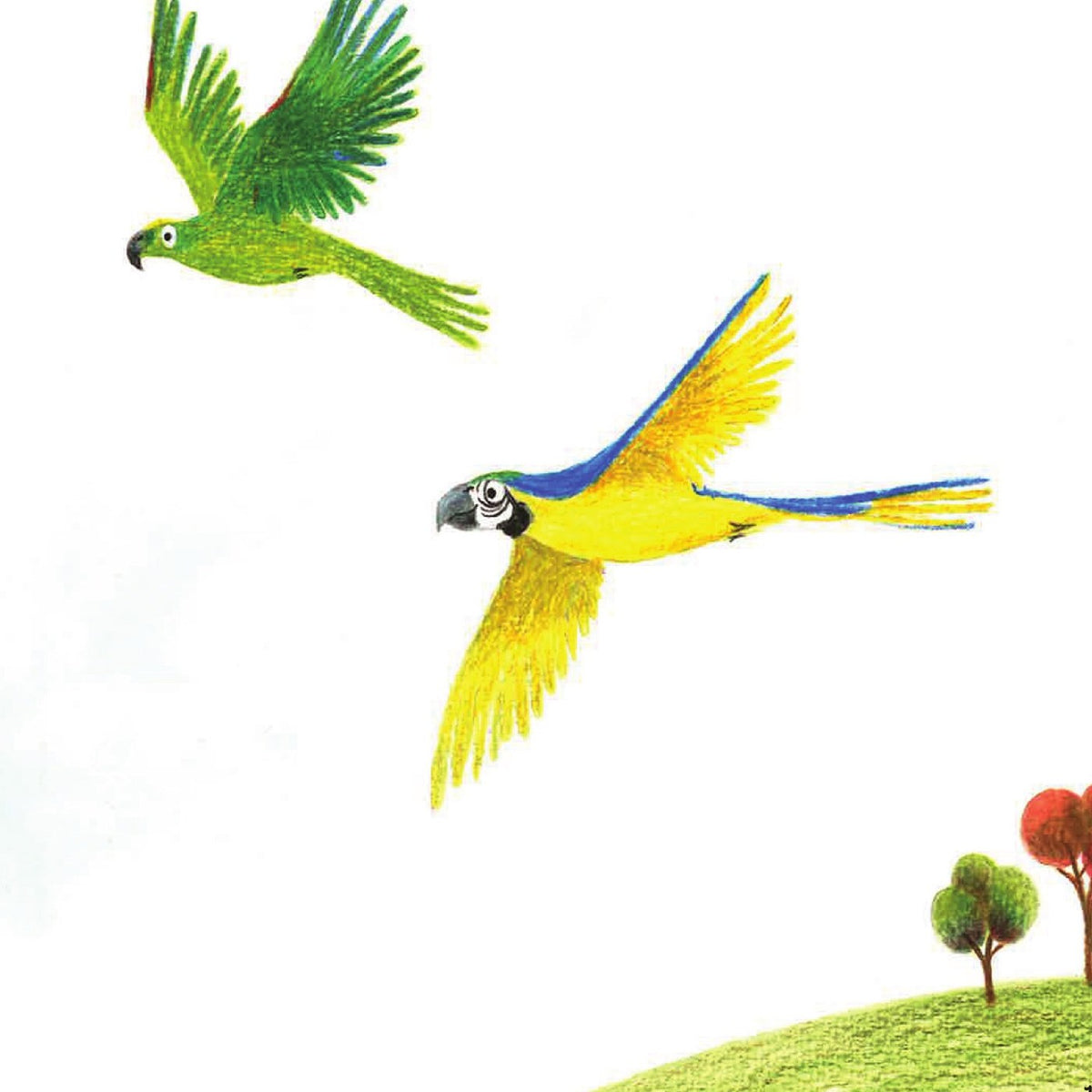 Ilustração do livro Passeio indígena por São Paulo