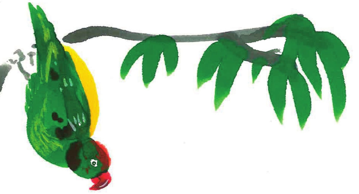 Ilustração do livro Patacoada