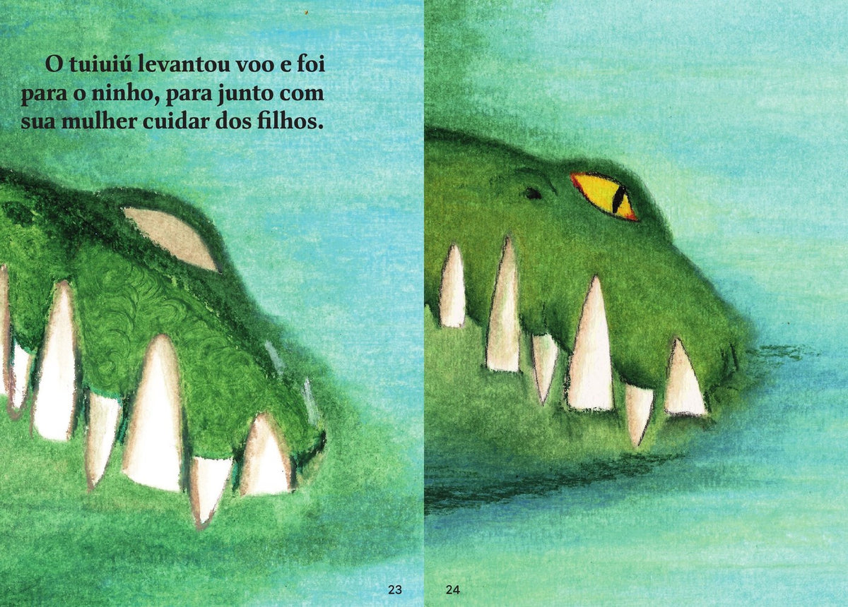 Ilustração do livro Romãozinho, tuiuiú e outros bichos