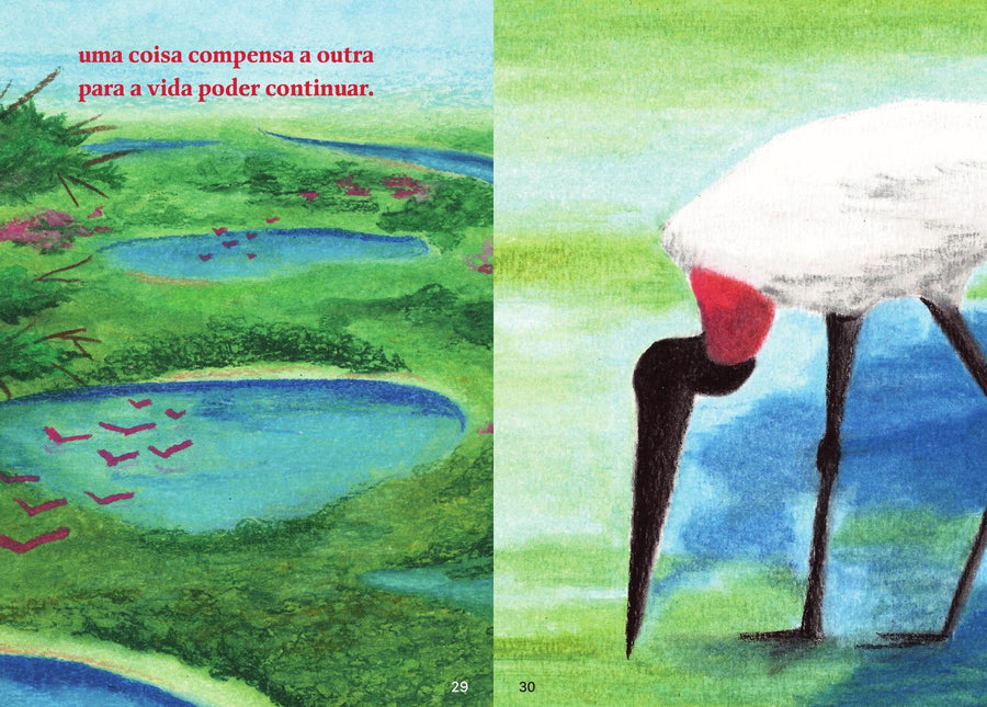 Ilustração do livro Romãozinho, tuiuiú e outros bichos