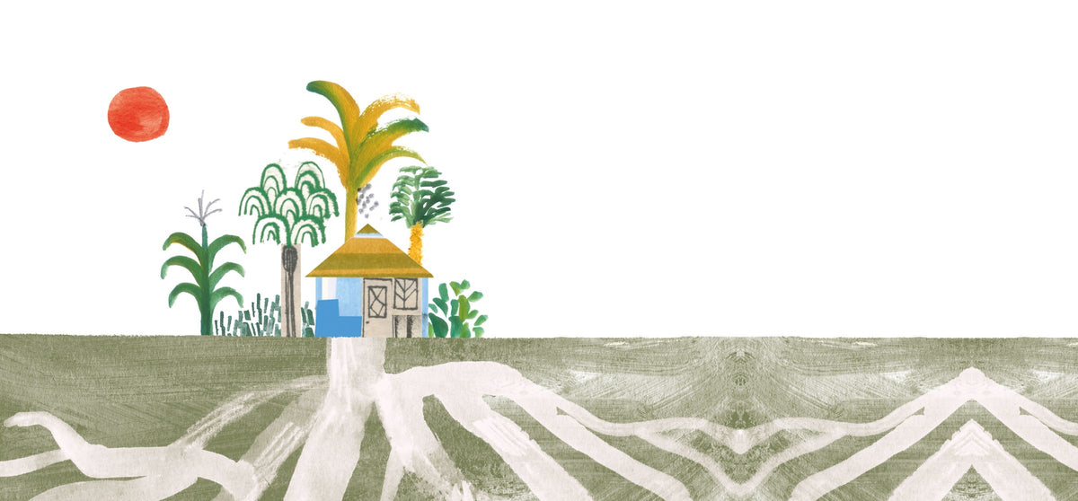 Ilustração de uma casinha entre plantas, com sol vermelho e caminhos que se abrem no campo
